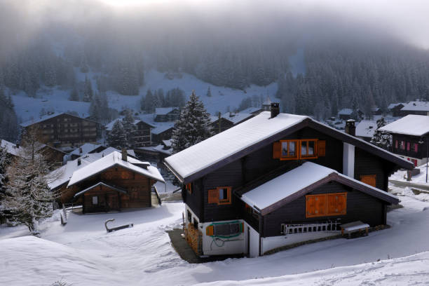 istock Winter Alpine landscape in the countryside 881912224