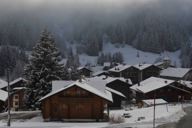 istock Winter Alpine landscape in the countryside 881912264