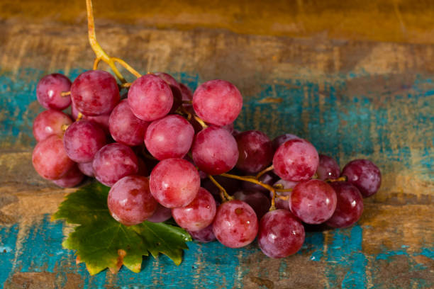 pęczek dużych organicznych winogron stołowych red globe - radish bunch red vegetable zdjęcia i obrazy z banku zdjęć