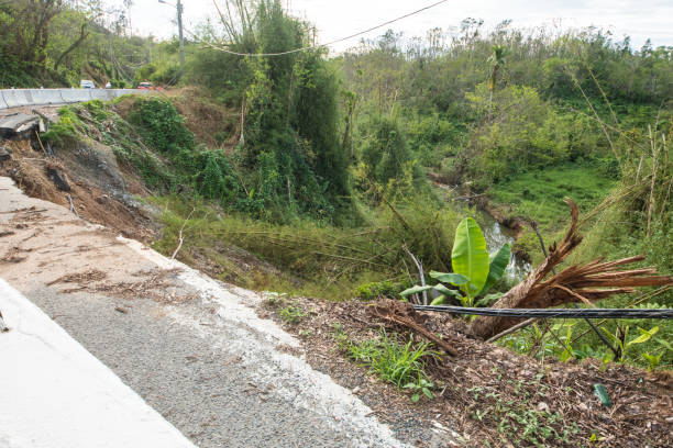istock Hurricane Maria Damage in Puerto Rico 881926584