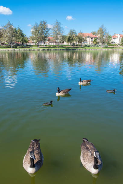 istock rancho santa margarita 881926796