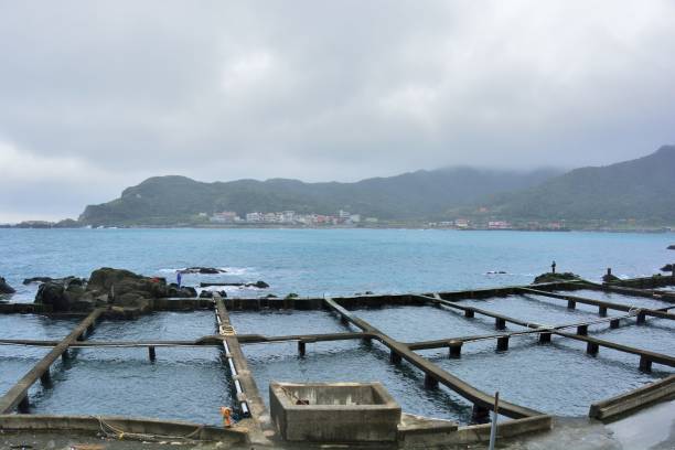 istock Rainy fishing harbor style. 881946810