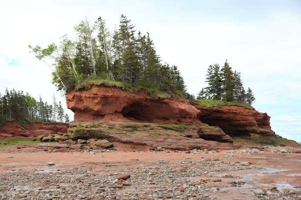 istock Scenery at Burnt Head Park, Minus Basin, Nova Scotia, Canada 881949794
