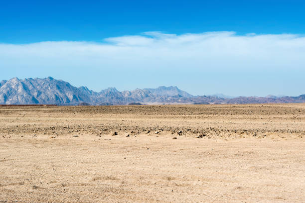 istock Landscape of the Arabian desert 881955968
