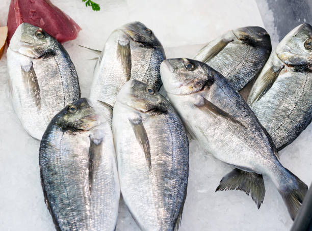 istock italian  Sparus aurata fish at a fish market 881958896