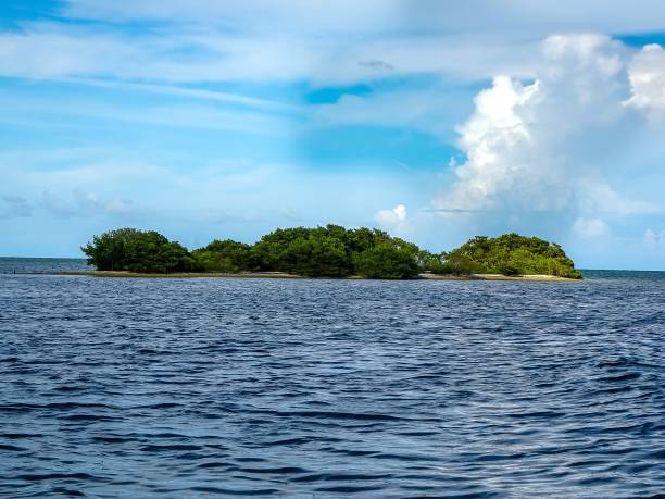istock Barrier Island in Florida Keys 881962222
