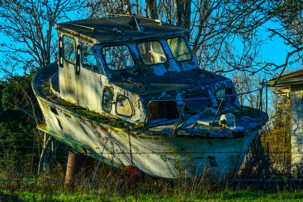istock Abandoned boat in Skagit Valley, WA 881962430