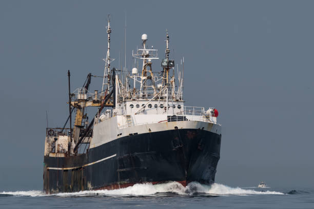 f/t 알래스카 정신 puget 사운드에 진행 - pollock trawler 뉴스 사진 이미지