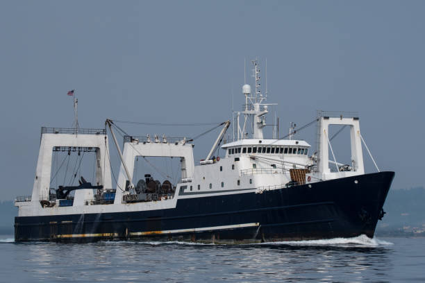 f/t 북극 폭풍우 - pollock trawler 뉴스 사진 이미지