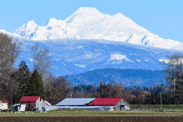 istock Mount Baker covered in Snow with Skagit Valley in foreground. 881962538