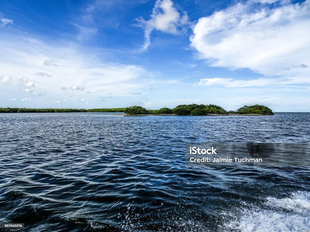 Isla De Barrera En Cayos De Florida Foto de stock y más banco de imágenes  de Agua - Agua, Aire libre, Amarillo - Color - iStock