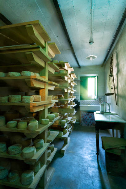 istock Pecorino Italian cheese maturing on shelves 881984170