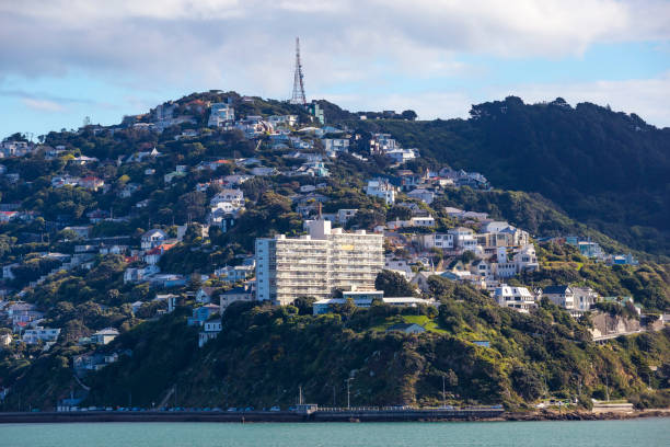 istock Wellington City Centre 882041342