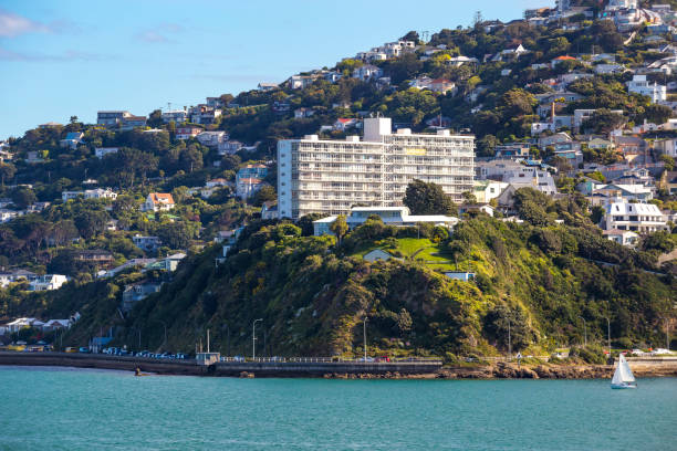 istock Wellington City Centre 882041362