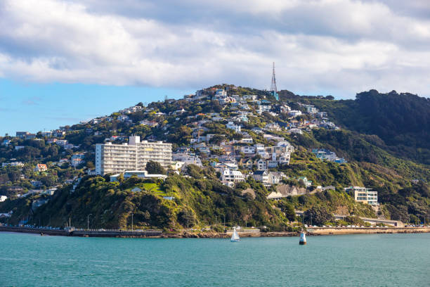 istock Wellington City Centre 882041412