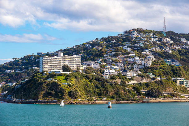 istock Wellington City Centre 882041434