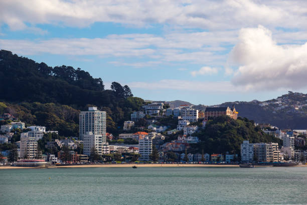 istock Wellington City Centre 882041450