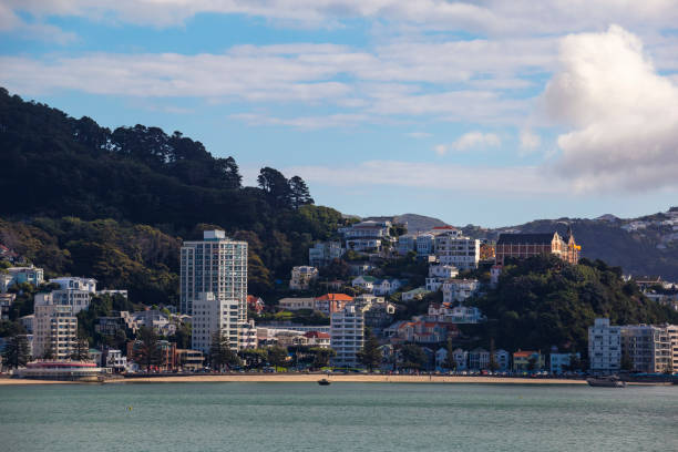 istock Wellington City Centre 882041480