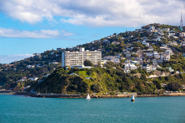 istock Wellington City Centre 882041528
