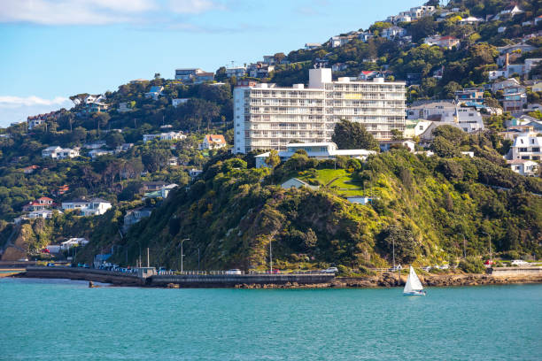 istock Wellington City Centre 882041558