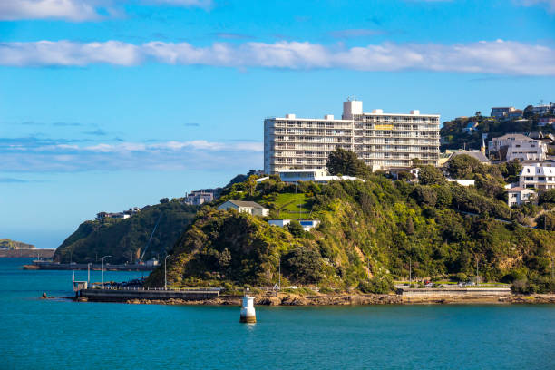 istock Wellington City Centre 882041580