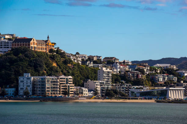 istock Wellington City Centre 882041616