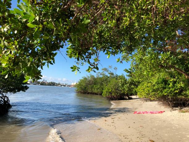 istock tropical island and a lazy beach 882041624