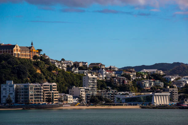 istock Wellington City Centre 882041632