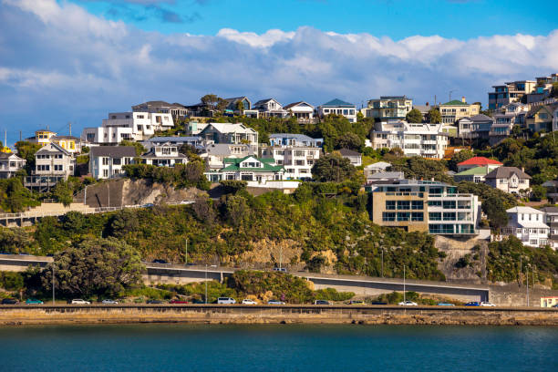 istock Wellington City Centre 882041648