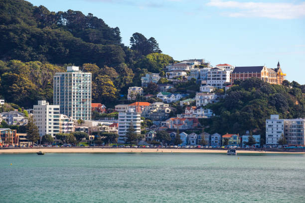 istock Wellington City Centre 882041696