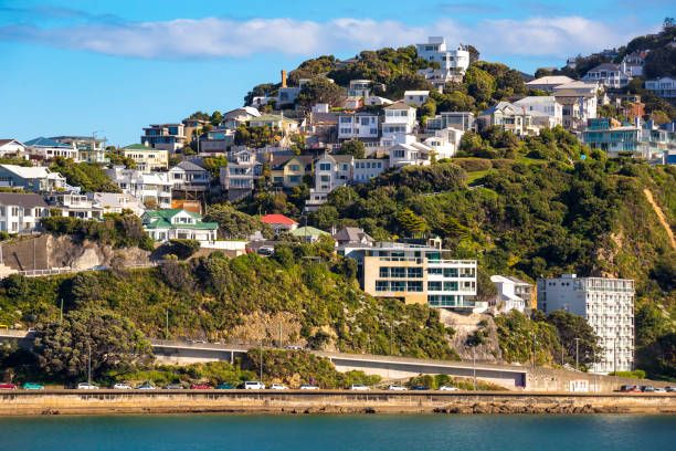 istock Wellington City Centre 882041706