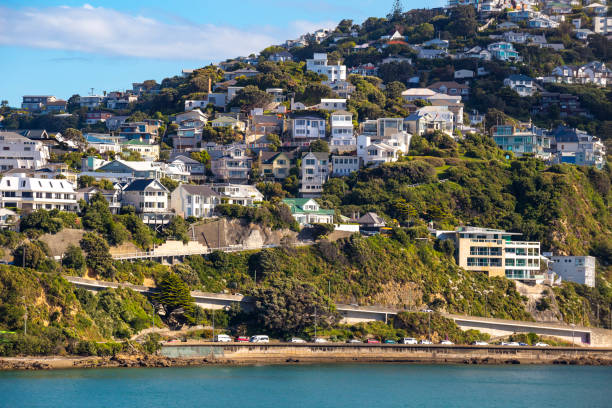 istock Wellington City Centre 882041718