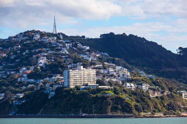 istock Wellington City Centre 882041738