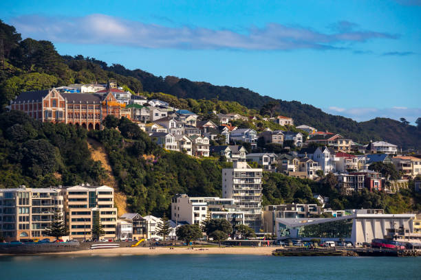 istock Wellington City Centre 882041750