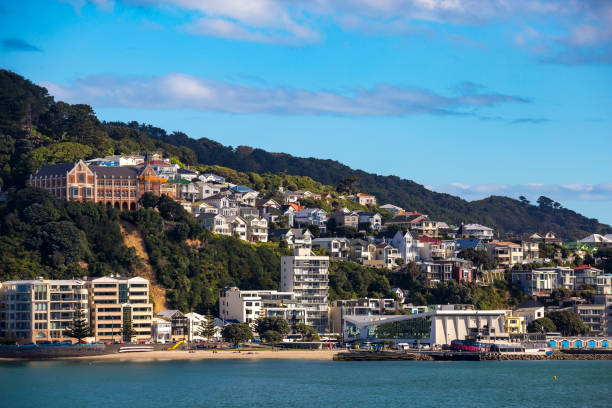 istock Wellington City Centre 882043116