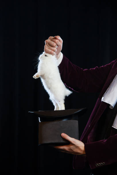 istock Man in suit pulling a rabbit out of the topper hat. close-up 882050688