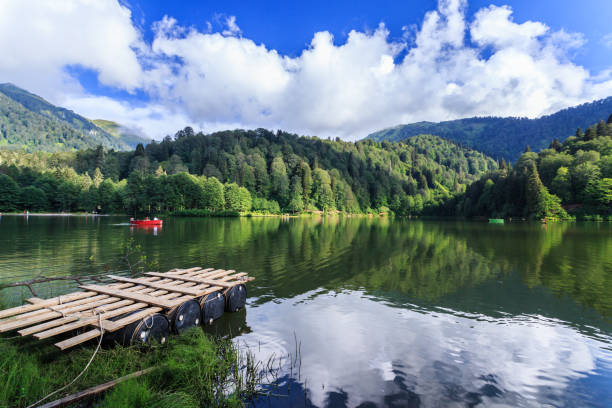 querformat ansicht von karagol (schwarzer see) in savsat, artvin, türkei - woods reflection famous place standing water stock-fotos und bilder