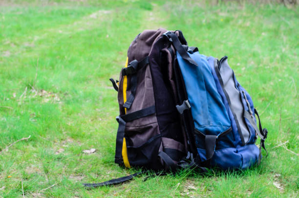 istock Backpacks on the green grass 882057696