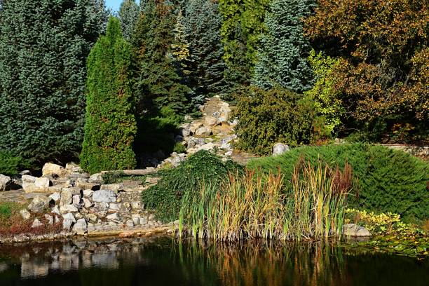 istock Autumn garden with artificial pond and dried out stone waterfall reflecting on water surface. 882060896