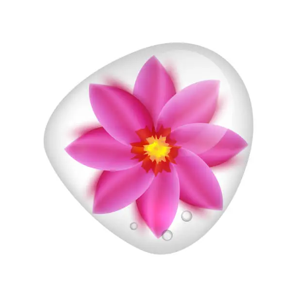 Vector illustration of Realistic pink lotus flower under clear water drop
