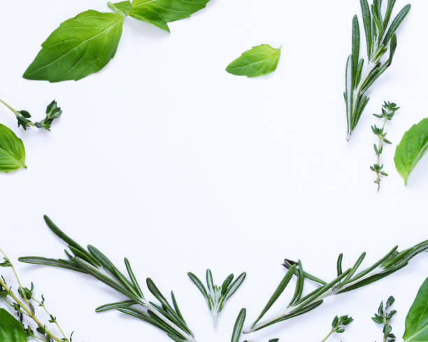 istock aromatic herbs - basil, thyme, rosemary on white background 882070770
