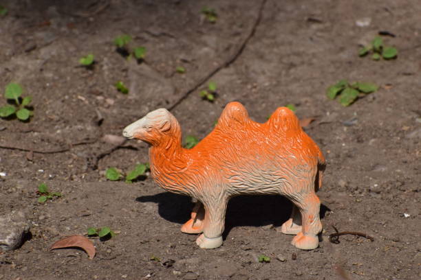 istock Miniature outdoor photography 882076520
