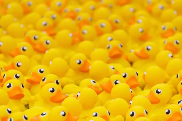 yellow toy duck floating in swimming pool