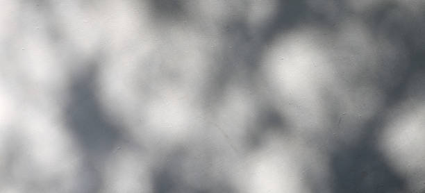 istock shadow of the leaves on a white wall 882101224