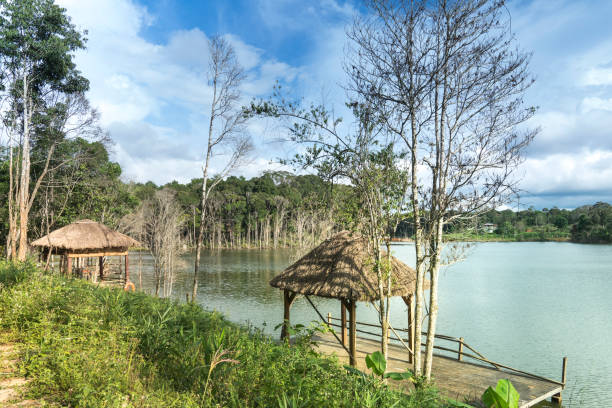 istock bamboo raft set in a lake surrounded by mountains and trees 882112668