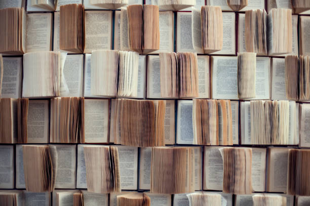 Open books, Abstract blur and defocused bookshelf in library interior for background stock photo
