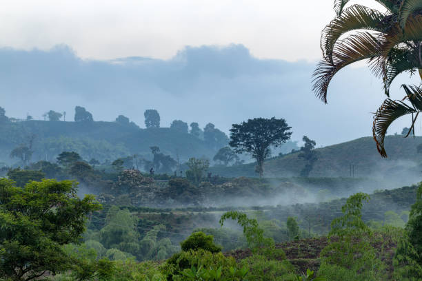 istock Dawn in Colombia's Coffee Triangle 882141700