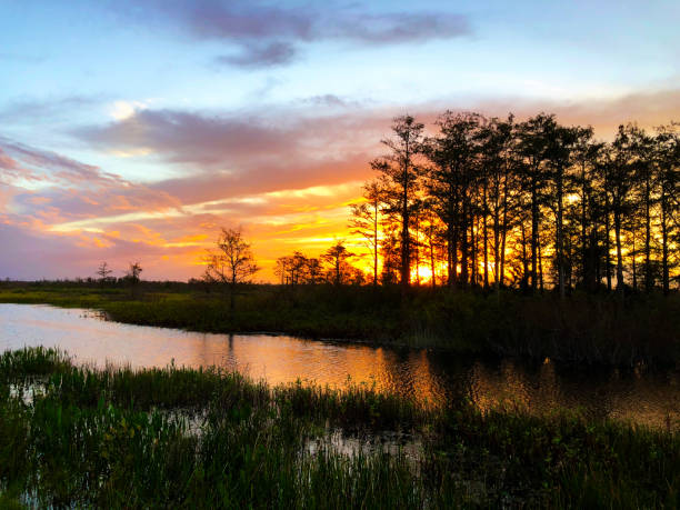 swamp sunset Vibrant sunset in the swamp mississippi delta stock pictures, royalty-free photos & images