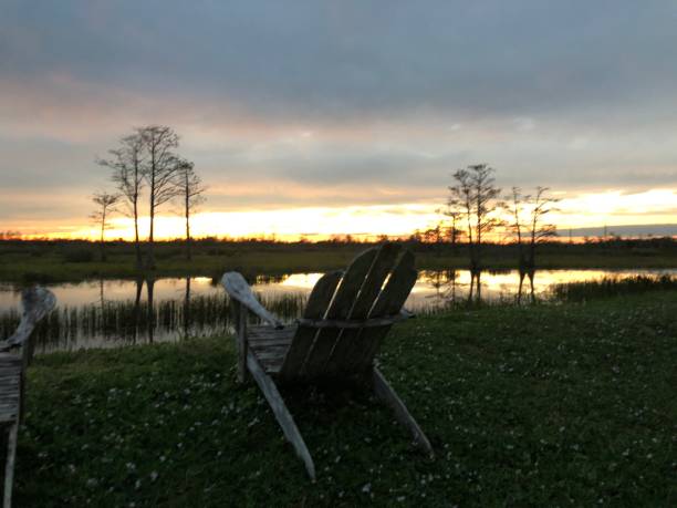 istock one chair in the swamp at sunset 882157680