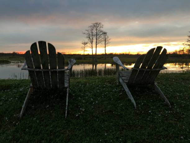 istock one chair in the swamp at sunset 882160600